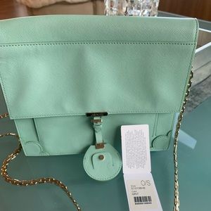 Jason Wu Jourdan Chain Crossbody Bag Color: Mint